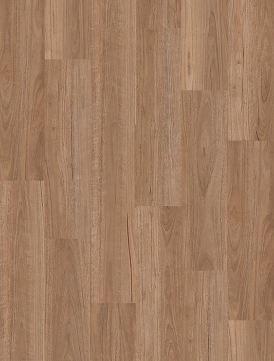 Blackbutt - 4.5mm Timba Touch LVT Premium Vinyl Flooring - Floor Trader