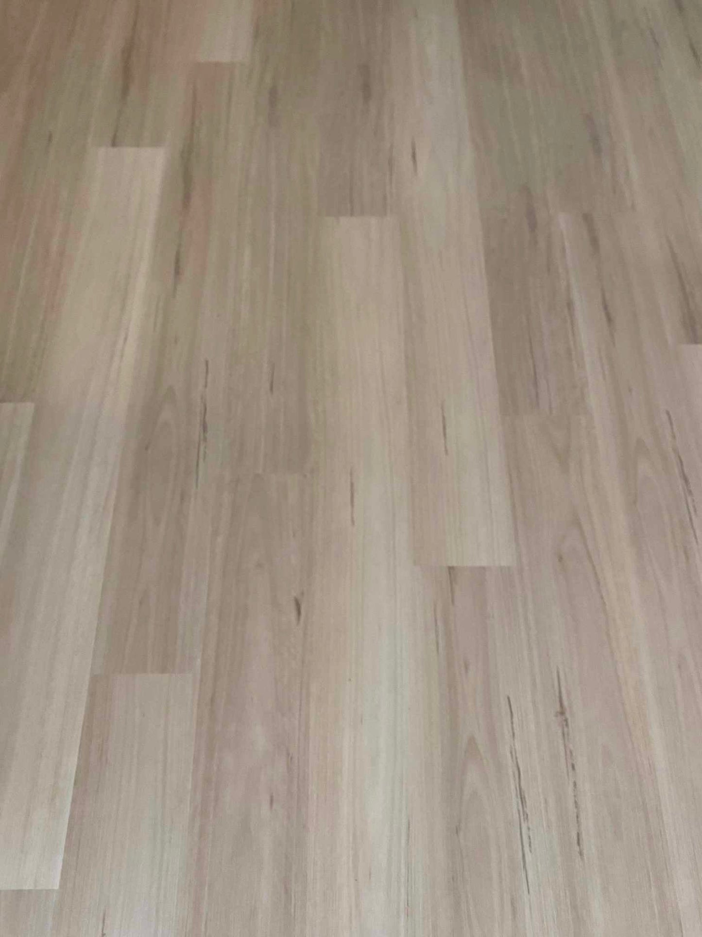 Coastal Blackbutt - 6.5mm SPC Hybrid Flooring - Floor Trader