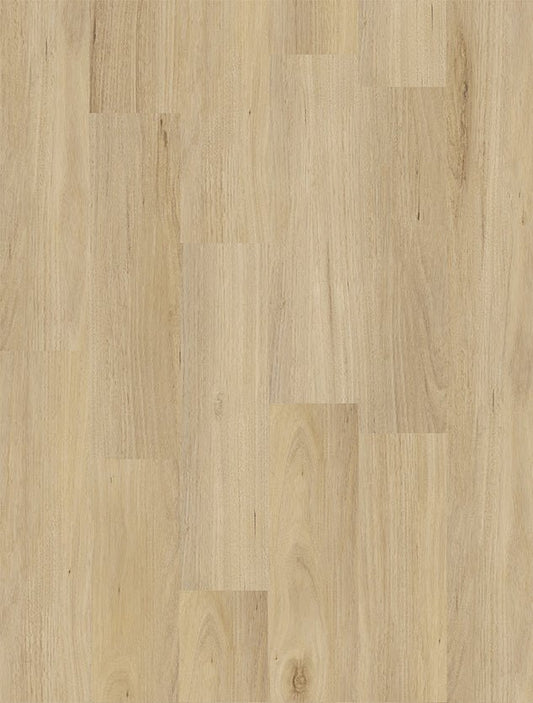 Tasmanian Oak - Timba Touch Hybrid Flooring - Floor Trader