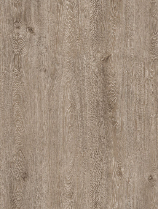 Sample box of 3- Timba Touch Metro Series